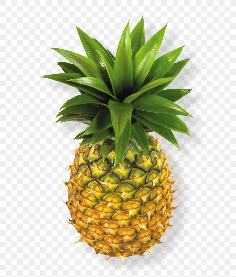Pineapple, PNG, 3092x3634px, Natural Foods, Ananas, Food, Fruit, Pineapple Download Free