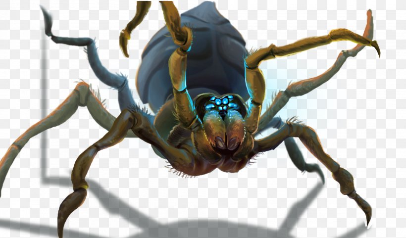 RuneScape Insect Game Arthropod Animal, PNG, 2016x1184px, Runescape, Animal, Arachnid, Arthropod, Community Download Free