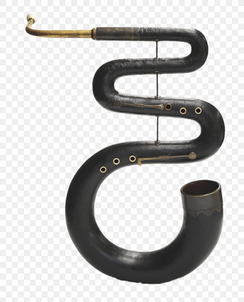 Serpent Musical Instruments Cornett Brass Instruments Buccina, PNG, 2752x3408px, Watercolor, Cartoon, Flower, Frame, Heart Download Free