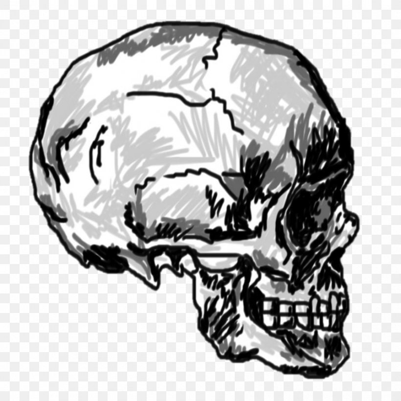Skull Drawing Calavera Skeleton, PNG, 894x894px, Skull, Art, Automotive Design, Black And White, Bone Download Free