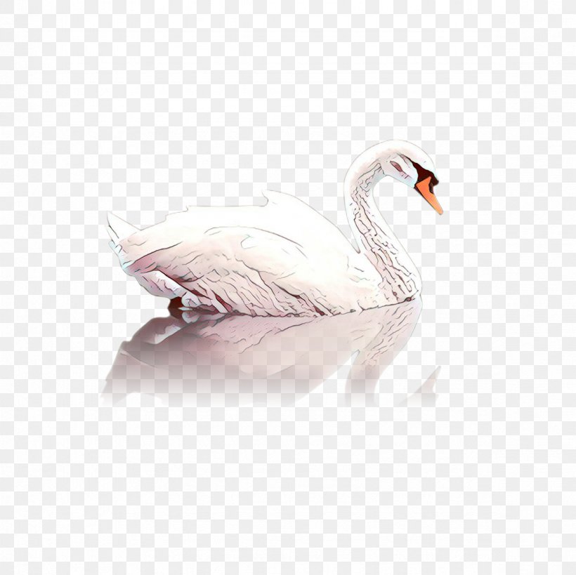 Snow Cartoon, PNG, 2362x2362px, Cartoon, Beak, Bird, Duck, Ducks Geese And Swans Download Free