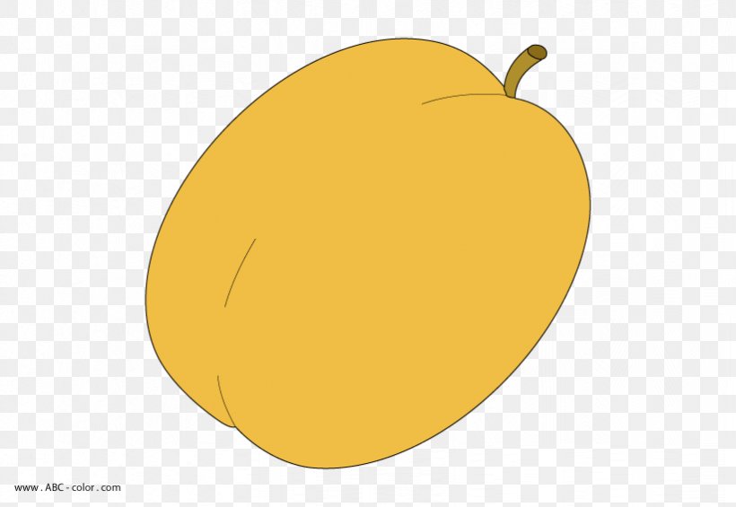 Apricot Drawing, PNG, 822x567px, Apricot, Apple, Coloring Book, Cucurbita, Drawing Download Free