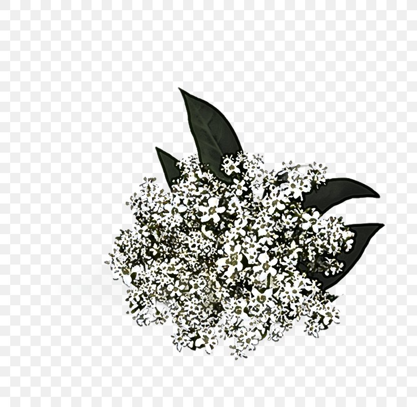 Leaf Black-and-white Fashion Accessory Plant Brooch, PNG, 800x800px, Leaf, Blackandwhite, Brooch, Diamond, Fashion Accessory Download Free