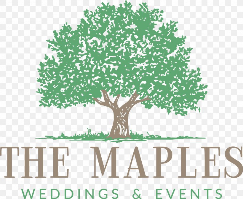 The Maples Tree Logo Woodland Photograph, PNG, 1499x1225px, Tree, Branch, Brand, Grass, Leaf Download Free