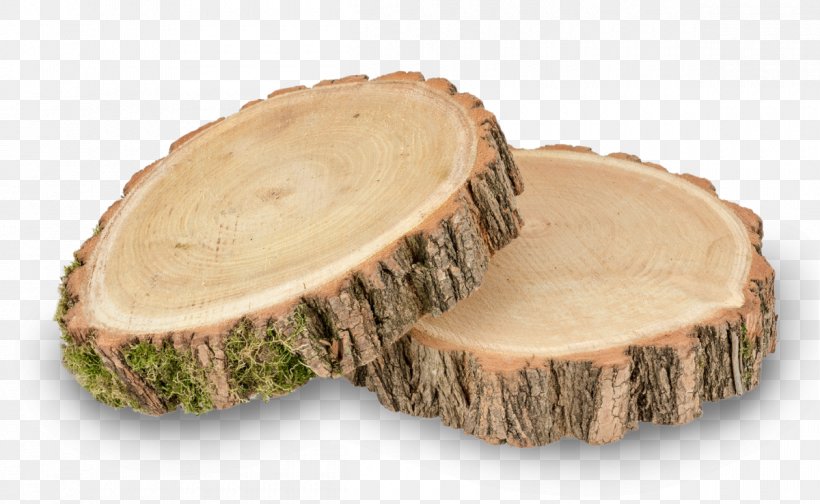Wood Baumscheibe Tree Table Wattles, PNG, 1200x738px, Wood, Acacieae, Alder, Ash, Askartelu Download Free