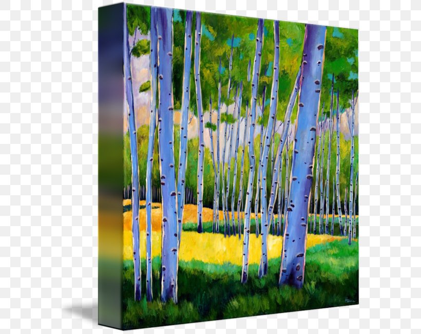 Aspen Tree Canvas Print Art, PNG, 593x650px, Aspen, Acrylic Paint, Art, Artist, Birch Download Free