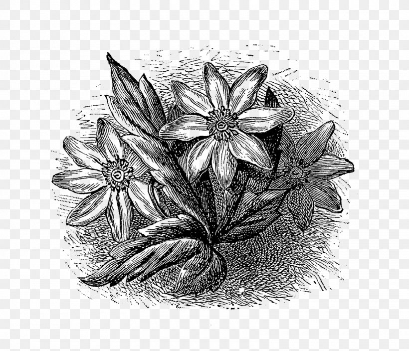 Drawing /m/02csf Flower, PNG, 1600x1374px, Drawing, Artwork, Black And White, Flower, Monochrome Download Free