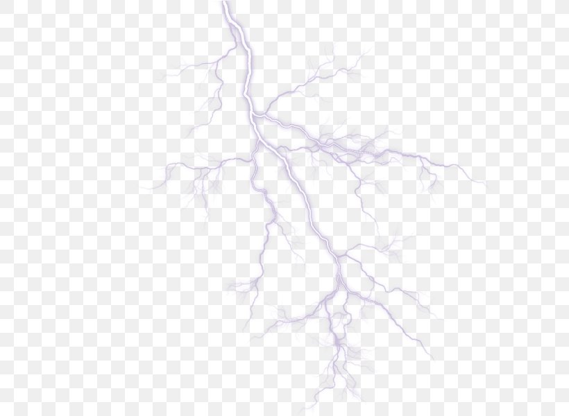 Lightning LINE, PNG, 800x600px, Lightning, Black And White, Branch, Drawing, Plant Download Free