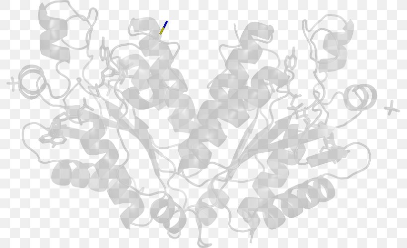 Line Font, PNG, 793x500px, White, Black And White, Branch, Flora, Flower Download Free