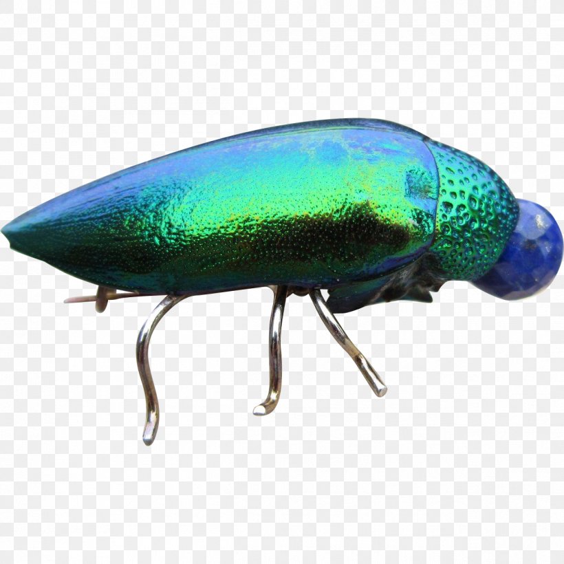 Beetle Fishing Bait Pest, PNG, 1264x1264px, Beetle, Arthropod, Bait, Fishing, Fishing Bait Download Free