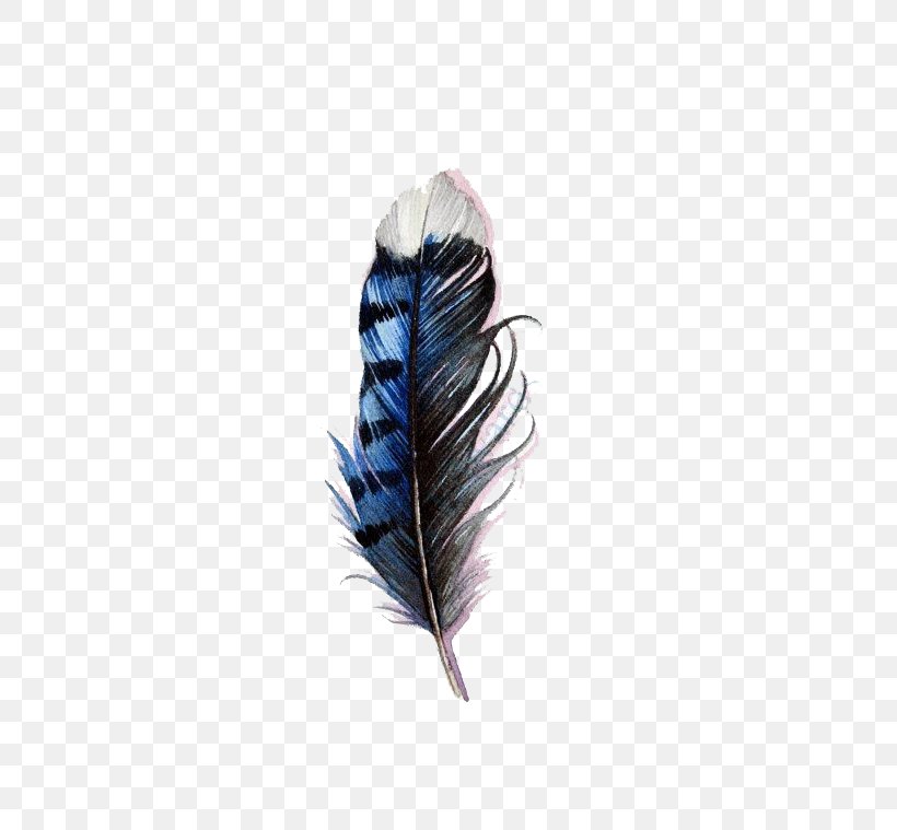 Bird Tattoo Feather Blue Jay Watercolor Painting Png 570x759px Bird Art Blue Jay Feather India Ink
