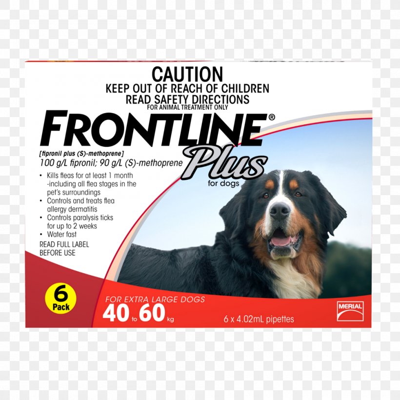 Dog Puppy Flea Treatments Pet Cat, PNG, 1000x1000px, Dog, Advertising, Brand, Cat, Dog Breed Download Free