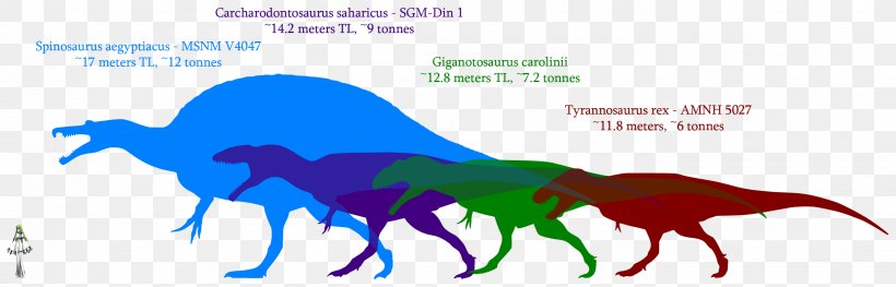 Giganotosaurus Dinosaur Size Carcharodontosaurus Mapusaurus Tyrannosaurus, PNG, 2802x900px, Giganotosaurus, Animal, Area, Carcharodontosaurus, Carnivore Download Free