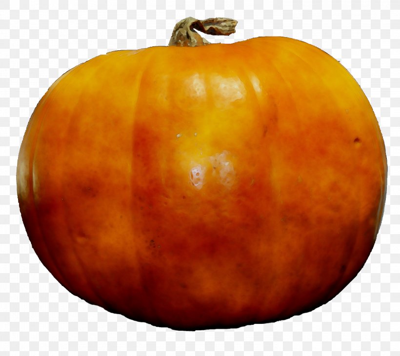 Jack-o'-lantern Calabaza Gourd Pumpkin Winter Squash, PNG, 2951x2629px, Jackolantern, Calabaza, Cucurbita, Food, Fruit Download Free