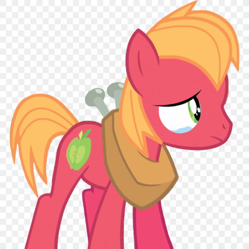 Pony Big McIntosh Applejack Fluttershy Apple Bloom, PNG, 894x894px, Watercolor, Cartoon, Flower, Frame, Heart Download Free