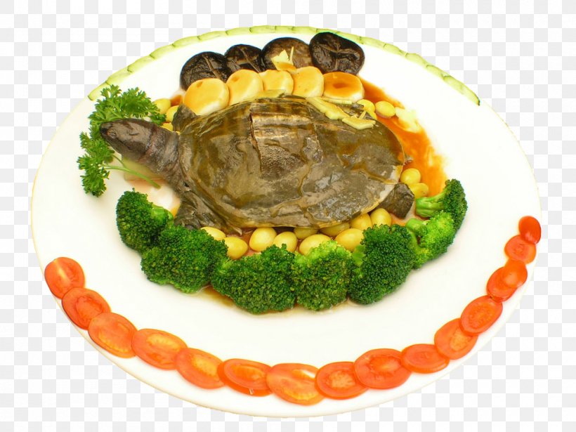 Turtle, PNG, 1000x750px, Turtle, Chinese Softshell Turtle, Cuisine, Dish, Dishware Download Free