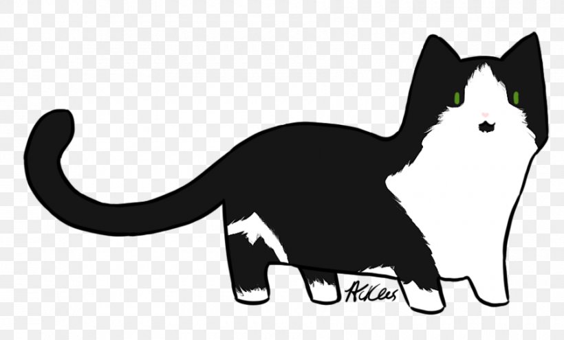 Whiskers Kitten Domestic Short-haired Cat Black Cat, PNG, 900x544px, Whiskers, Black, Black And White, Black Cat, Black M Download Free