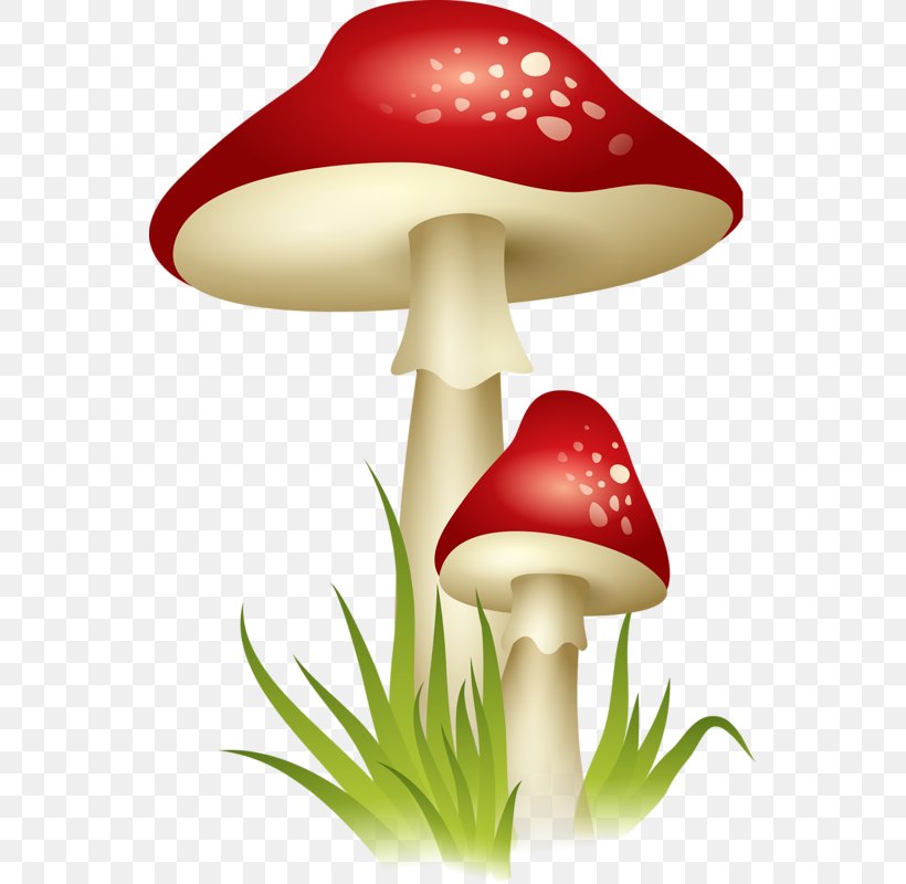 Clip Art Mushroom Openclipart Transparency, PNG, 549x800px, Mushroom, Edible Mushroom, Plant Stem, Psilocybin Mushroom Download Free