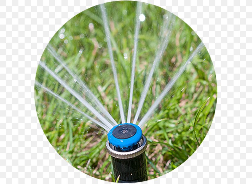 Irrigation Sprinkler Fire Sprinkler System Sistema De Riego Lawn, PNG, 600x600px, Irrigation Sprinkler, Alamy, Automatic Irrigation System, Fire Sprinkler System, Garden Download Free
