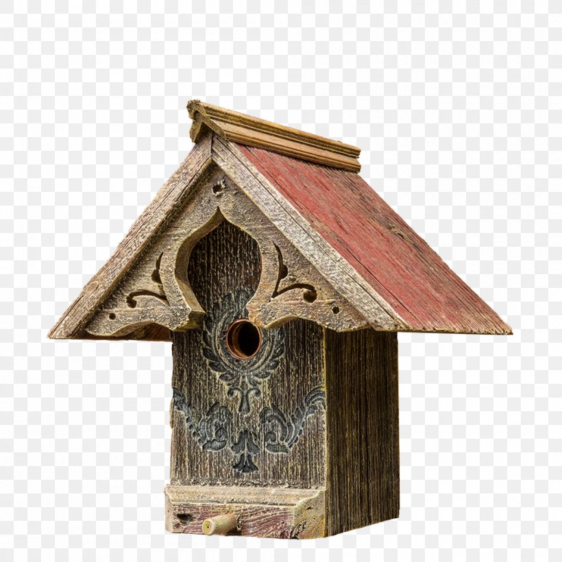 Nest Box Bat Bird Feeders House, PNG, 1000x1000px, Nest Box, Bat, Bird, Bird Feeders, Birdhouse Download Free