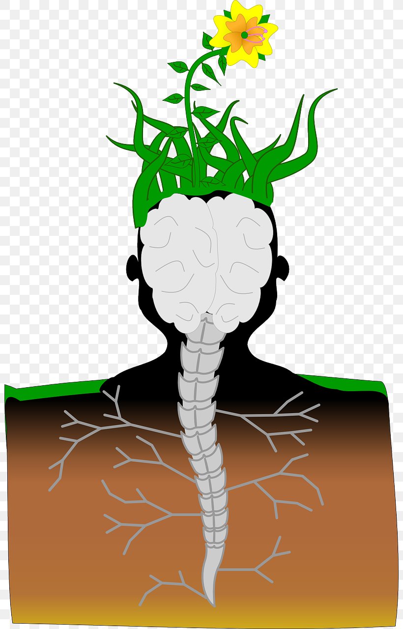 Plant Brain Hemp Pixabay Spinal Cord, PNG, 802x1280px, Plant, Animal Cognition, Art, Brain, Branch Download Free