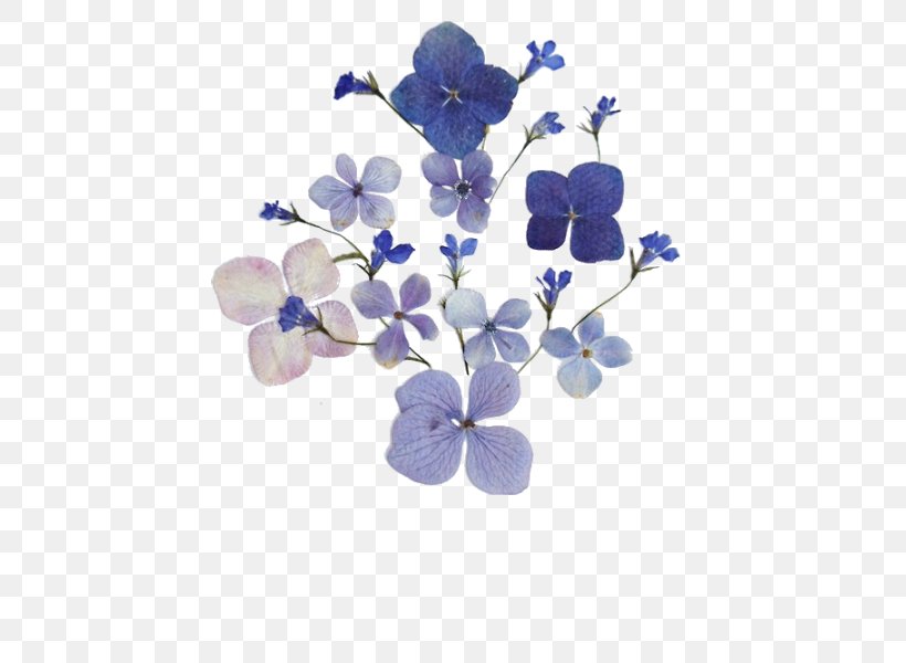 Pressed Flower Craft Image Floral Design Flower Bouquet, PNG, 496x600px, Flower, Blossom, Blue, Branch, Cobalt Blue Download Free