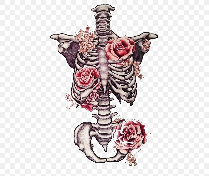 Drawing Human Skeleton Flower Art, PNG, 500x689px, Watercolor, Cartoon, Flower, Frame, Heart Download Free