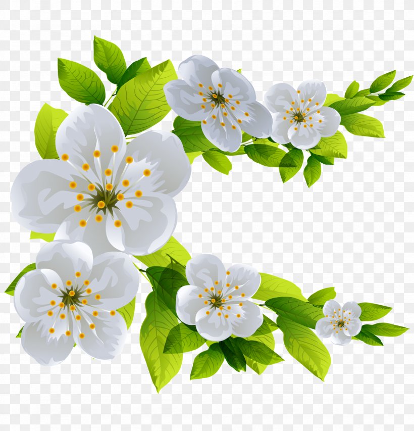Flower Clip Art, PNG, 1537x1600px, Flower, Blossom, Branch, Cherry Blossom, Cut Flowers Download Free