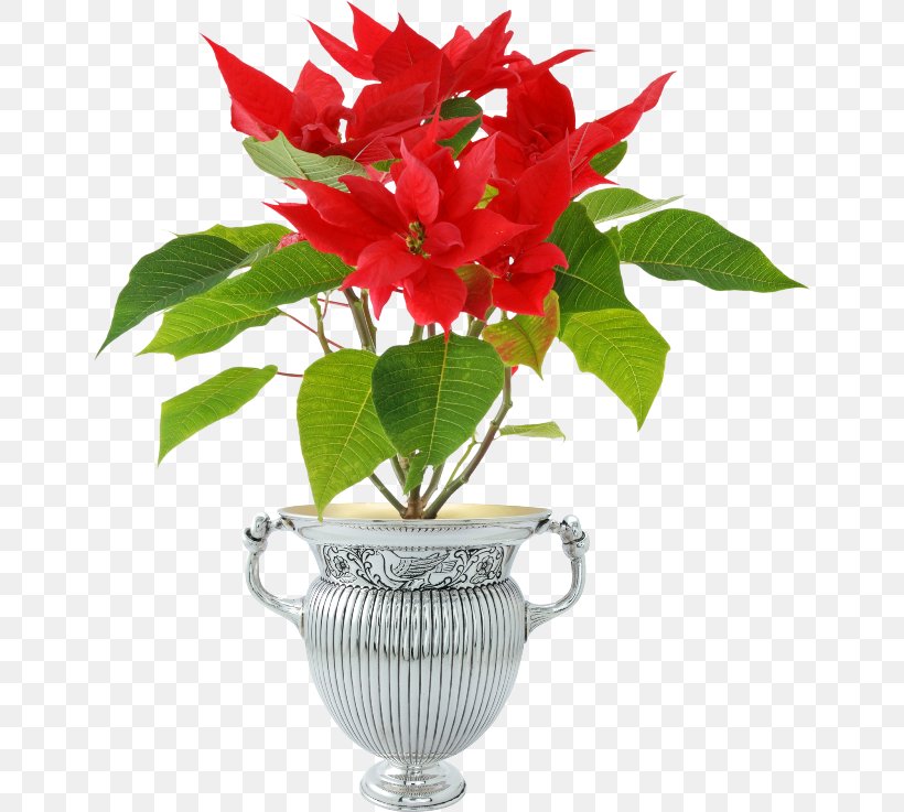 Flowerpot Christmas Floral Design, PNG, 650x737px, Flowerpot, Artificial Flower, Christmas, Crock, Cut Flowers Download Free