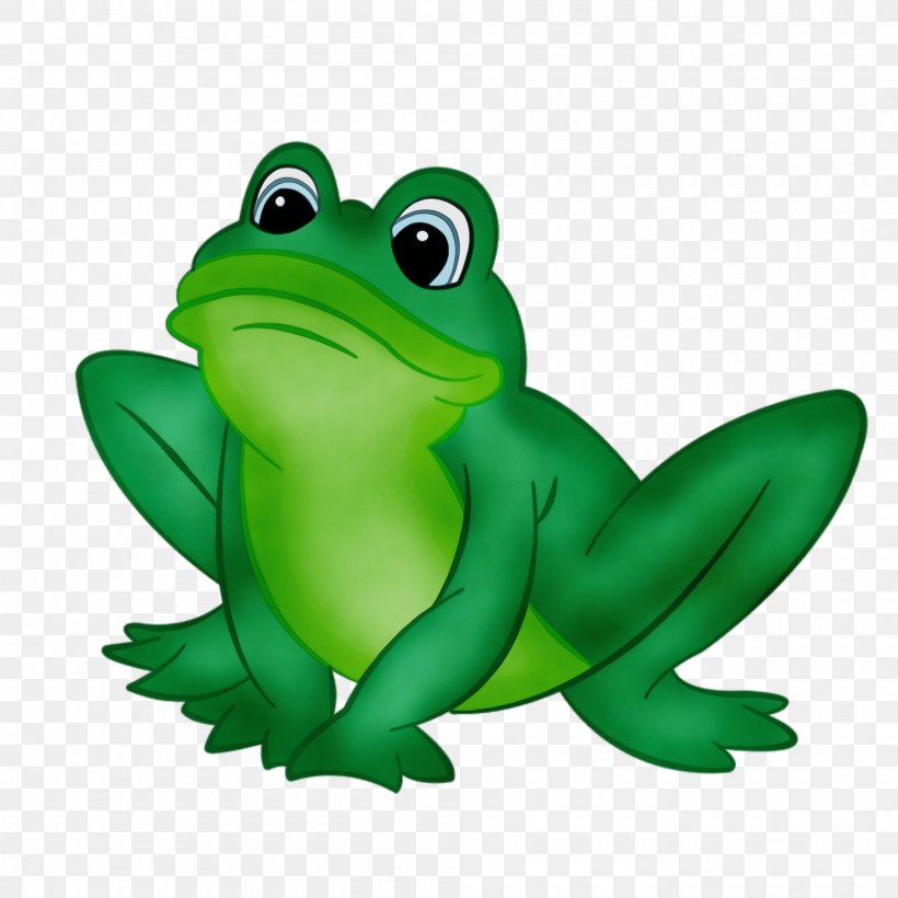 Green Frog True Frog Hyla Tree Frog, PNG, 2000x2000px, Watercolor, Agalychnis, Cartoon, Frog, Green Download Free