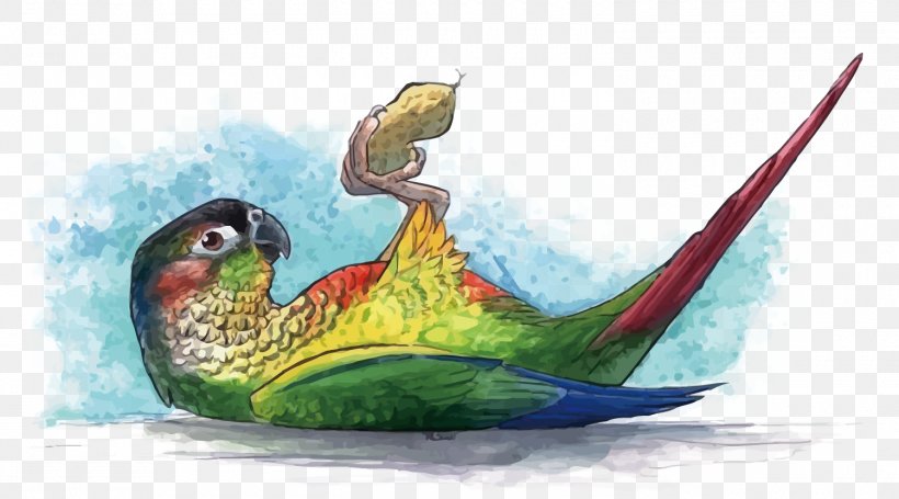 Parrot Watercolor Painting, PNG, 1500x833px, Parrot, Art, Beak, Bird, Deviantart Download Free