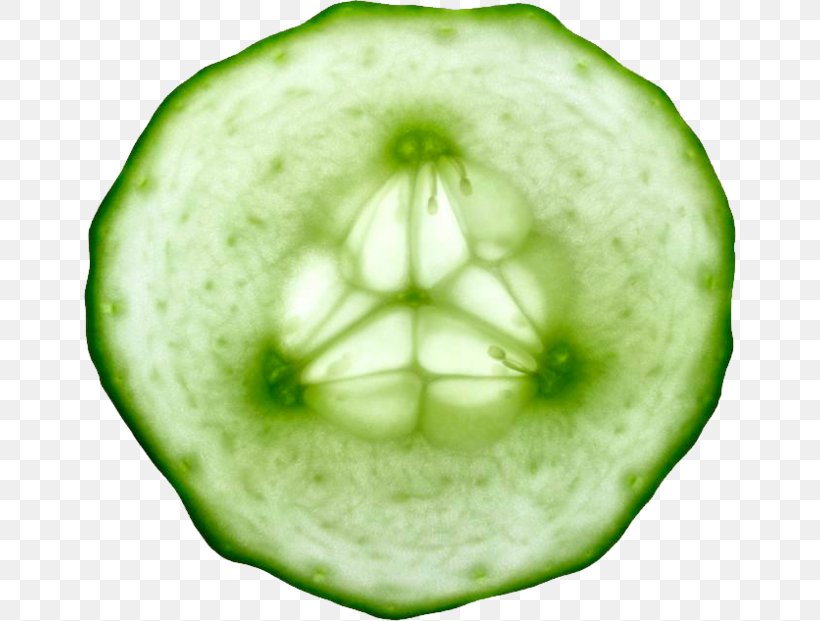Pepino Vegetable Slicing Cucumber, PNG, 658x621px, Pepino, Brussels Sprout, Close Up, Cucumber, Cucumber Gourd And Melon Family Download Free