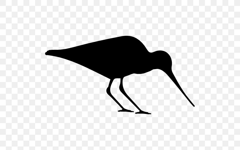 Bird Silhouette Haematopus Eurasian Oystercatcher Clip Art, PNG, 512x512px, Bird, Beak, Black And White, Dinosaur, Eurasian Oystercatcher Download Free