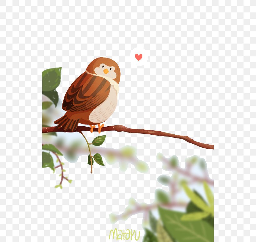Cartoon Adobe Illustrator Illustration, PNG, 550x778px, Cartoon, Art, Beak, Bird, Bird Of Prey Download Free