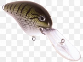 Spoon Lure Plug Fishing Baits & Lures Topwater Fishing Lure Bass