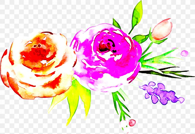 Rose, PNG, 2002x1380px, Pink, Cut Flowers, Flower, Petal, Plant Download Free