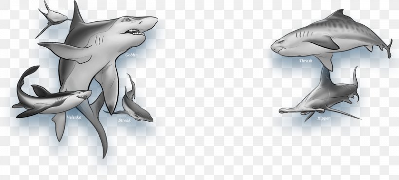 Shark Wars Whale Shark Goblin Shark, PNG, 1312x592px, Shark Wars, Automotive Design, Book, Dolphin, Drawing Download Free