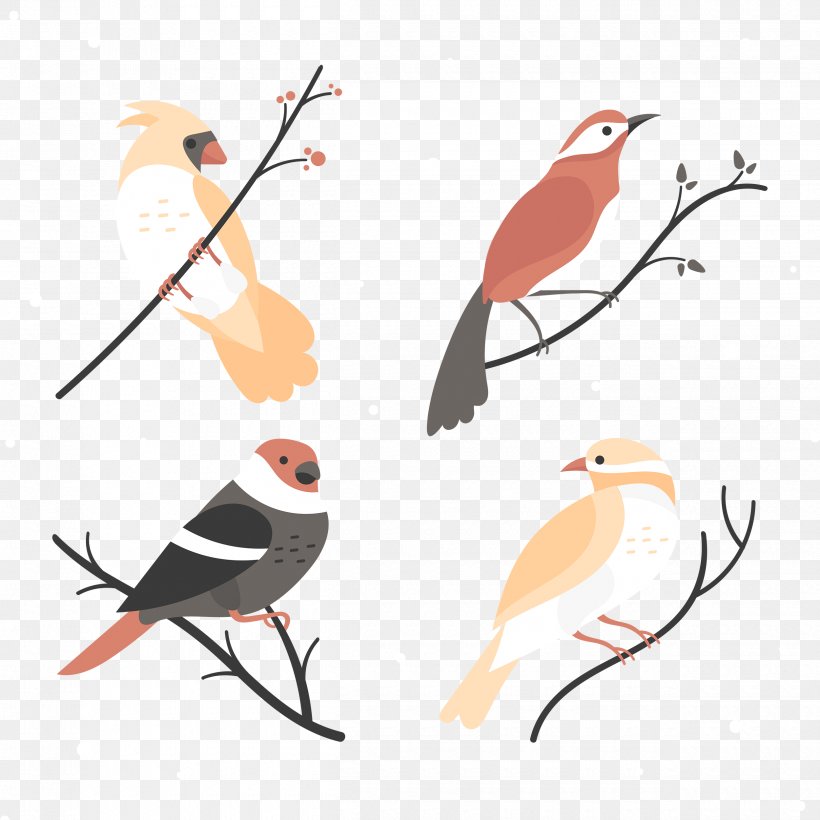 Bird Eurasian Magpie Vector Graphics Design, PNG, 2500x2500px, Bird, Beak, Branch, Dendrocopos, Eurasian Magpie Download Free