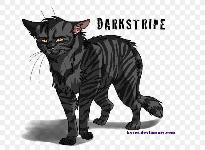 Into The Wild Darkstripe Warriors ThunderClan Rising Storm, PNG, 700x600px, Into The Wild, Art, Author, Black Cat, Book Download Free