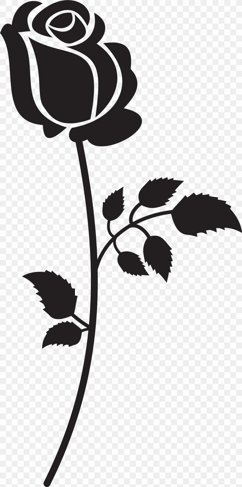 Leaf Black-and-white Flower Plant Plant Stem, PNG, 3441x6923px, Leaf, Blackandwhite, Branch, Flower, Pedicel Download Free