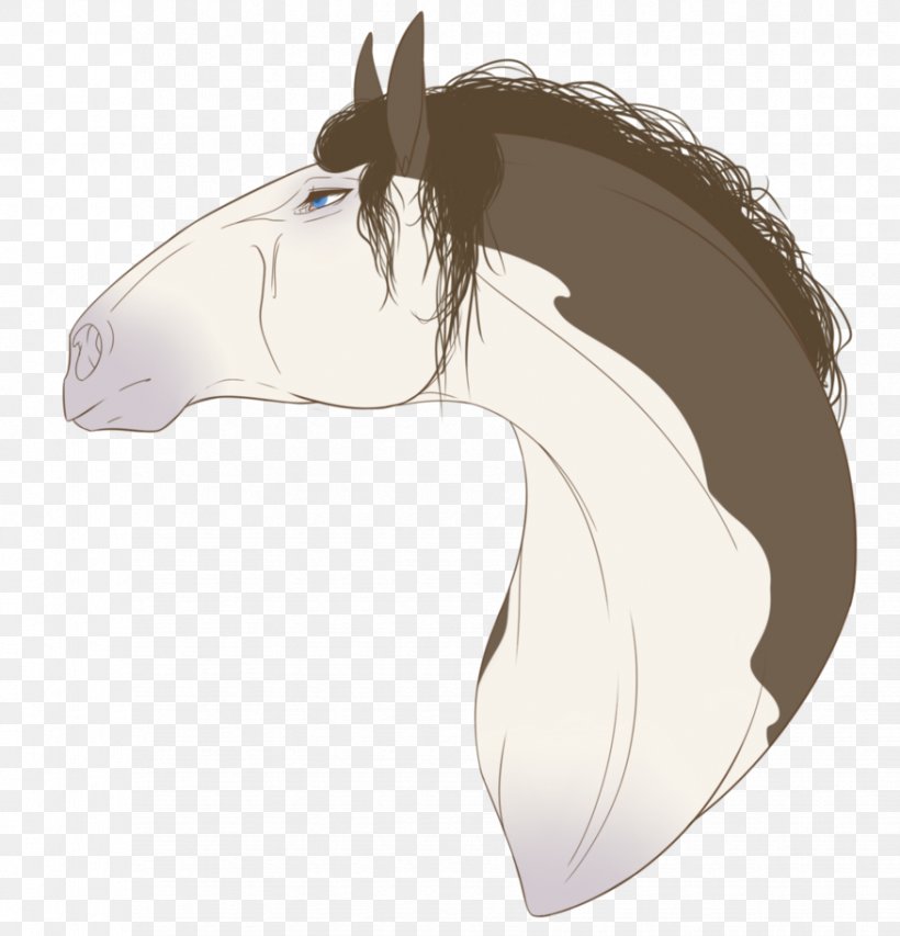 Mane Halter Mustang Rein Stallion, PNG, 876x912px, Mane, Bridle, Carnivora, Carnivoran, Cartoon Download Free