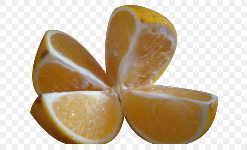 Orange Juice Lemon, PNG, 640x500px, Juice, Auglis, Citric Acid, Citrus, Food Download Free
