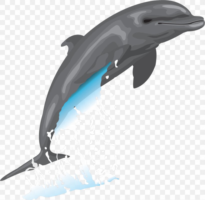 Bottlenose Dolphin Drawing Clip Art, PNG, 1048x1024px, Dolphin, Art, Bottlenose Dolphin, Common Bottlenose Dolphin, Drawing Download Free