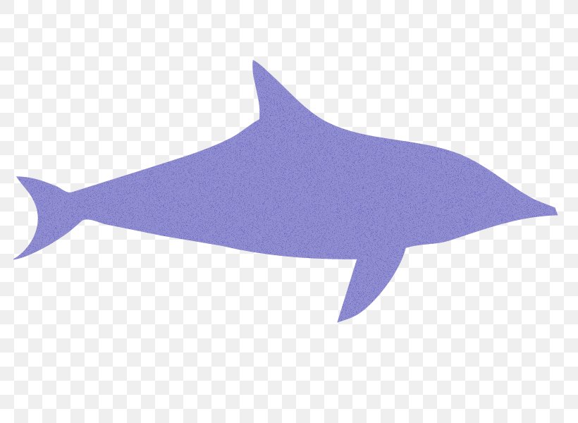Common Bottlenose Dolphin Tucuxi Hippopotamus Shark Dog, PNG, 800x600px, Common Bottlenose Dolphin, Animal, Bird, Bird Dog, Cartilaginous Fish Download Free