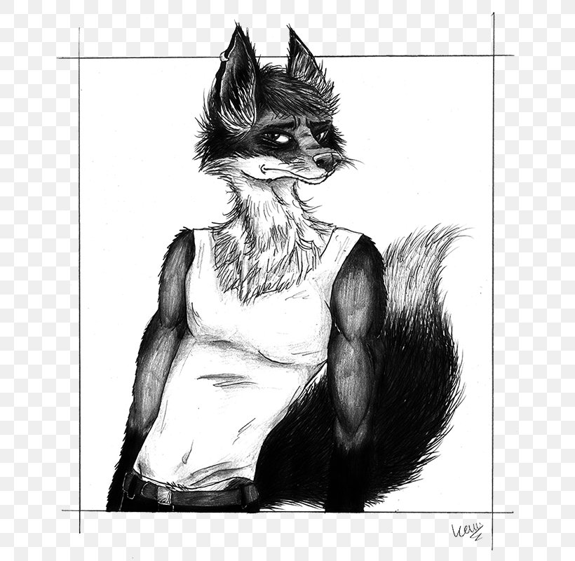 Whiskers Cat Dog Canidae Sketch, PNG, 682x800px, Whiskers, Art, Artwork, Black, Black And White Download Free