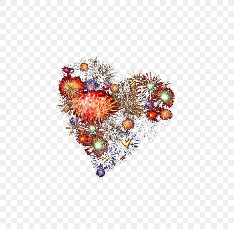 New Year Image Fireworks Christmas Day, PNG, 800x800px, New Year, Biscuits, Brooch, Christmas Day, Christmas Ornament Download Free