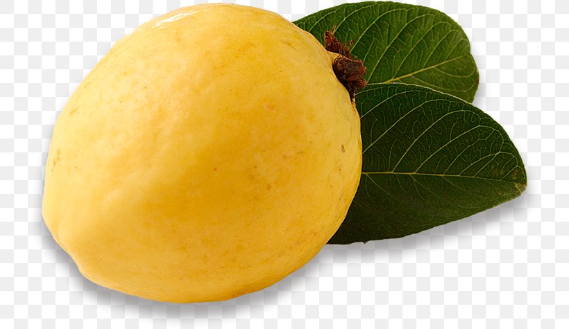 Citron Lemon Superfood, PNG, 738x475px, Citron, Citrus, Food, Fruit, Lemon Download Free