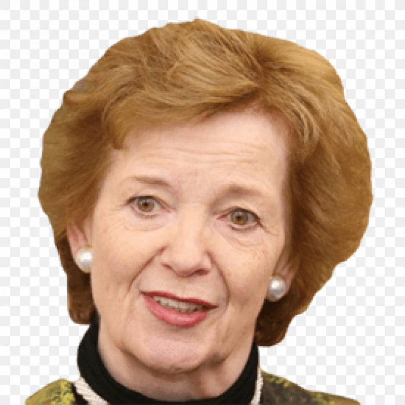 Mary Robinson Republic Of Ireland President Of Ireland Photograph, PNG, 1140x1140px, Republic Of Ireland, Author, Blond, Brown Hair, Cheek Download Free
