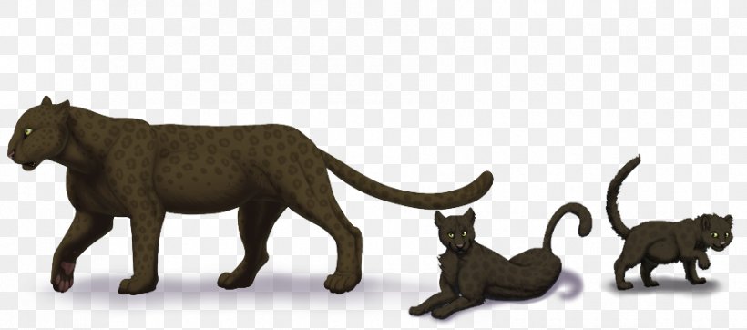 Big Cat Terrestrial Animal Puma Wildlife, PNG, 905x400px, Cat, Animal, Animal Figure, Big Cat, Big Cats Download Free