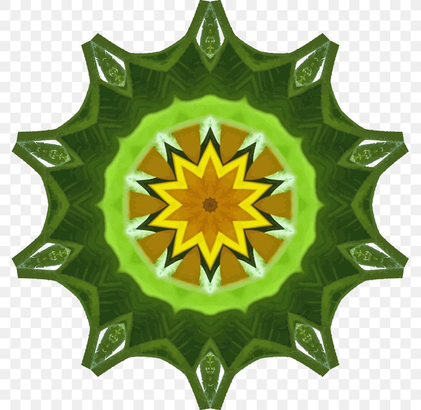 Green, PNG, 773x800px, Green, Color, Flower, Kaleidoscope, Leaf Download Free